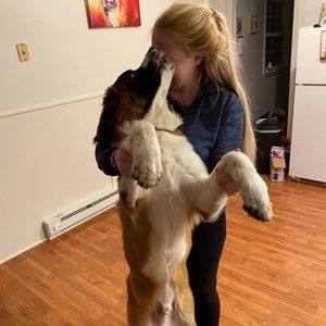 Meet your Posher, Cassidy